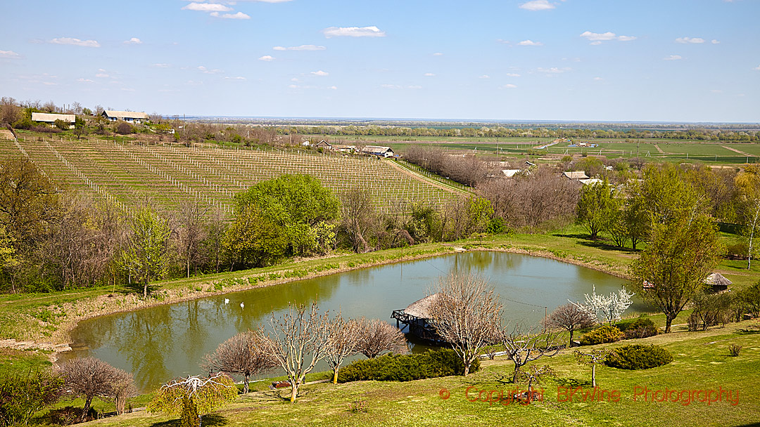 The landscape at Chateau Purcari, Stefan Voda, Moldova