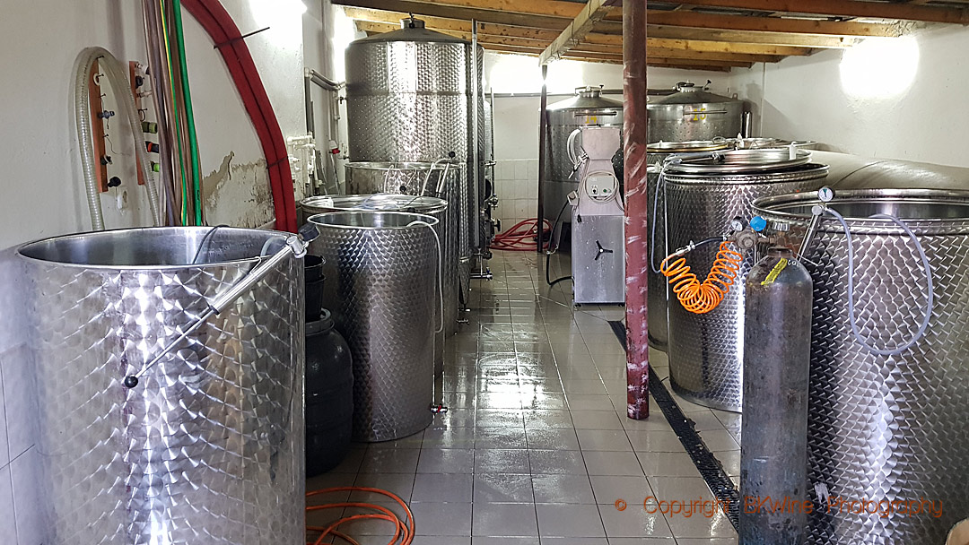 The Gogu Winery wine cellar