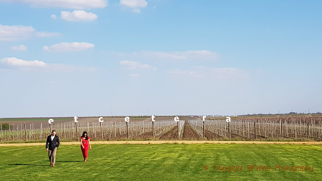 The vineyards at Et Cetera