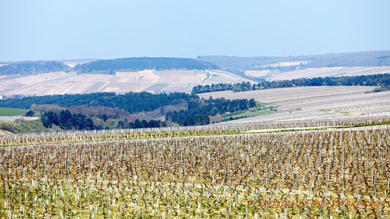 Landscape and vineyards in Chablis, Burgundy