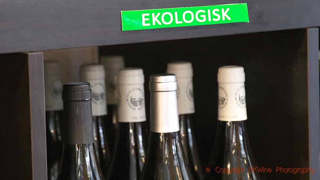 Bottles of organic (ekologiskt) wine in a shop