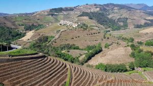 View over the vineyards from Quinta da Gaivosa