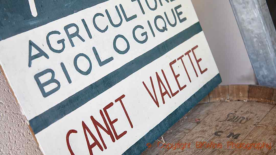 Organic wines at Canet Valette in Saint Chinian