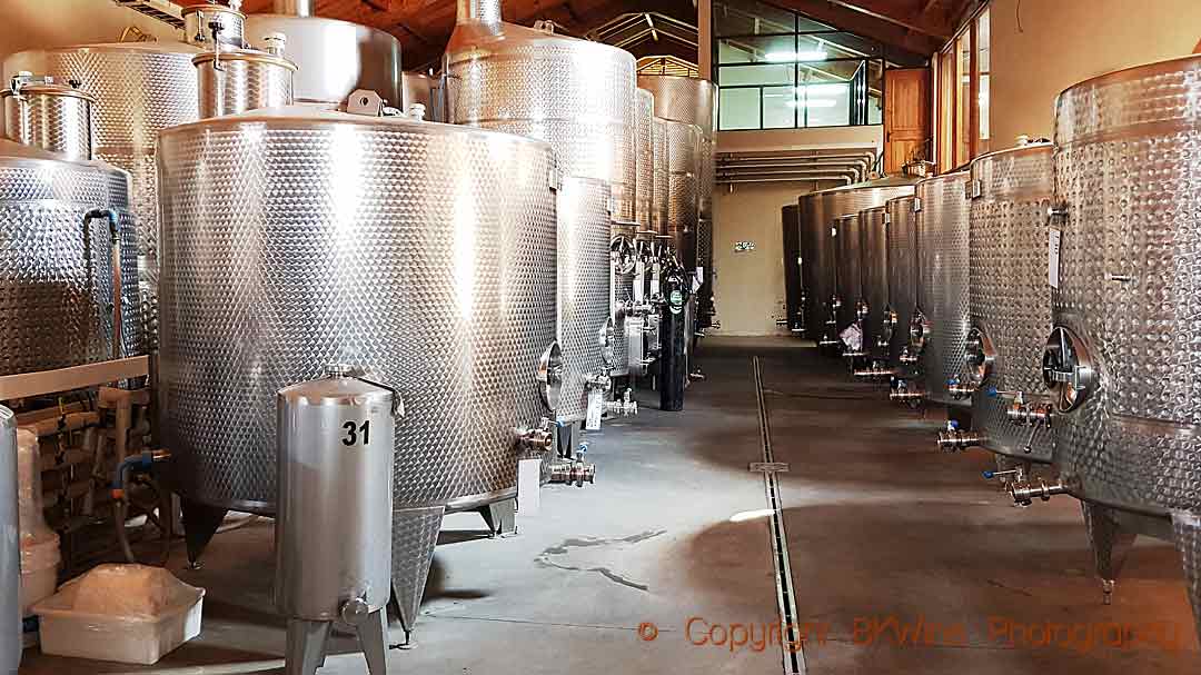 The fermentation cellar at Casa Marin, San Antonio, Chile