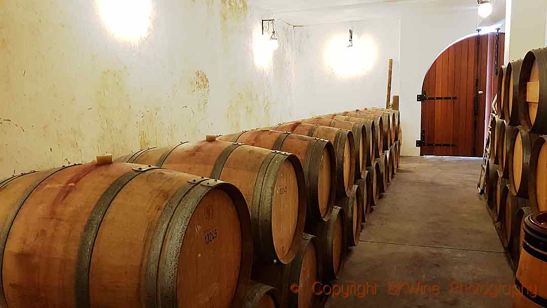 Oak barrels in the cellar at Unison Vineyard, Hawke's Bay, New Zealand