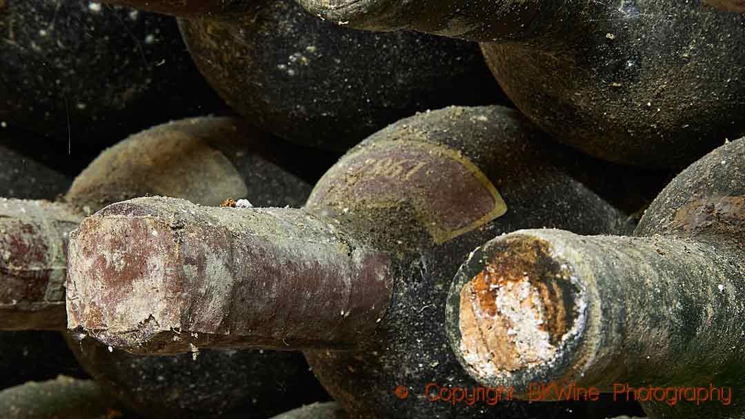 Old bottles of Brunello di Montalcino, Tuscany