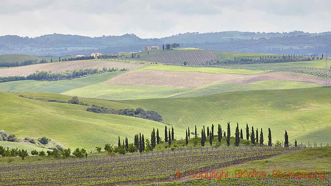 The landscape around Montalcino, Tuscany