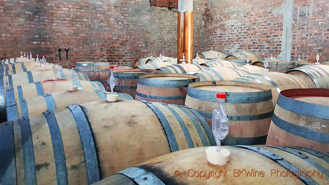The barrel cellar at Stark-Condé Wines in Stellenbosch