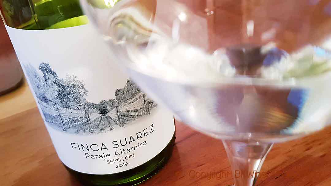 Finca Suarez Semillon 2019, Paraje Altamira, Valle de Uco, Mendoza, Argentina