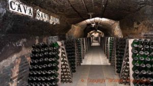 Bottles of cava in an underground cellar in Catalonia, Spain