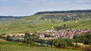 Vineyards on the slopes of the Marne Valley in Champagne