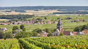 Vineyards and a village in the Champagne region in France