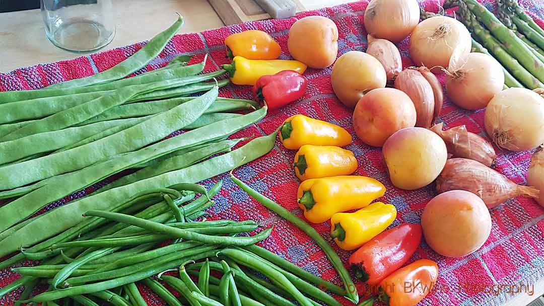 Fresh vegetables, just home from the market