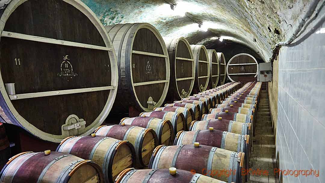 The old barrel cellar at Vinuri de Comrat, Gagauzia, Valul lui Traian, Moldova