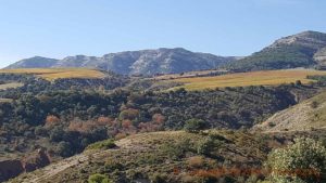 Torres's Tremp vineyards high in the mountains in upper Catalonia