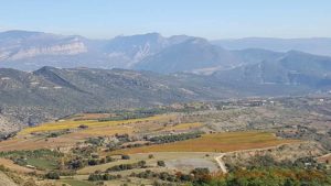 Torres's Tremp vineyards high in the mountains in upper Catalonia