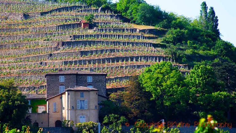 Chateau Grillet with terraced vineyard in the Rhone Valley