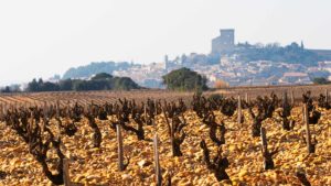 Vineyards in Chateauneuf-du-Pape and the village