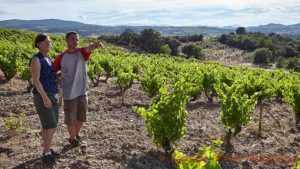 A walk in the vineyards with a winemaker in Roussillon