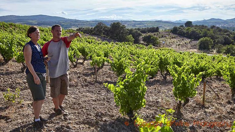 A walk in the vineyards with a winemaker in Roussillon