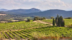 Vineyards and mountains in Vallee de l'Agly in Roussillon