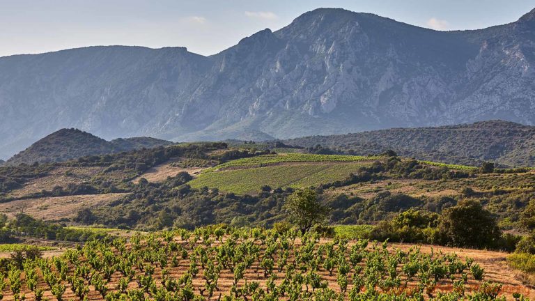 Vineyards and mountains in the dramatic Vallee de l'Agly, Roussillon