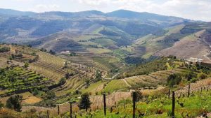 View from one of Wine & Soul's vineyards in the Douro Valley, Portugal