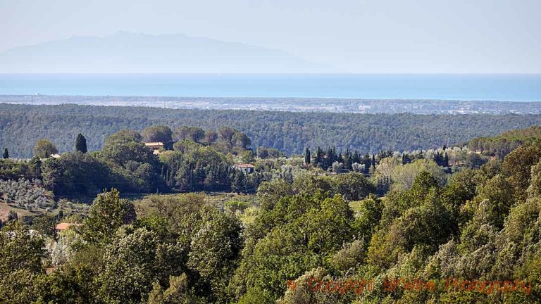 The landscape along the coast of Bolgheri in Tuscany