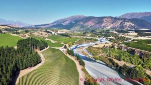 Sauvignon blanc landscape at Tupari Wines in the Awatere Valley, Marlborough, New Zealand