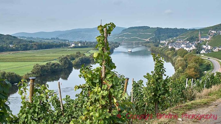 Vineyards overlooking the Mosel River, Germany