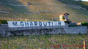 A painted Chapoutier banner in the vineyards on the Hermitage Hill, Rhone Valley