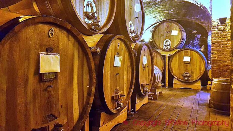 The wine cellar at the Enrico Serafino winery in Canale, Piedmont, with medium-sized vats