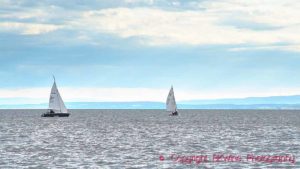 Neusiedler See in Burgenland, Lake Neusiedl, Austria, with sailing boats
