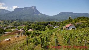 Vineyards, a village and mountains in Savoie