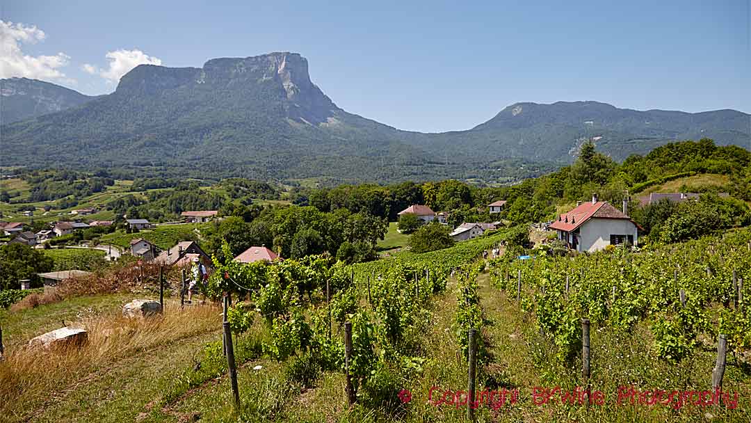 Vineyards, a village and mountains in Savoie