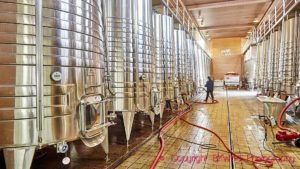 A big winery vat hall with stainless steel fermentation tanks in a winery in China