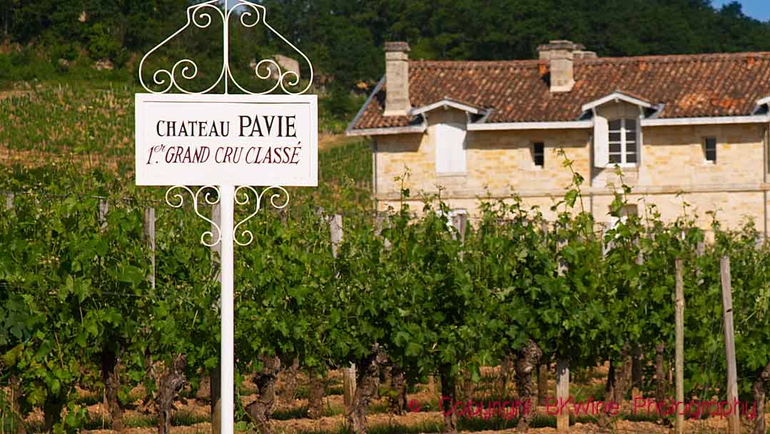 Sign in a vineyard in Bordeaux: Chateau Pavie premier grand cru classe
