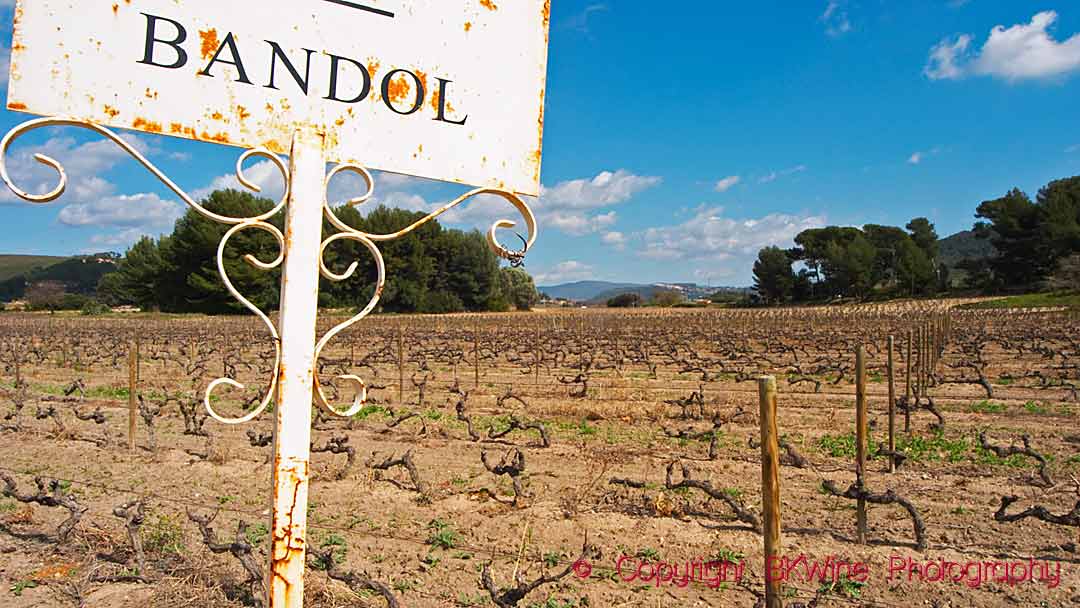 Landscape in Bandol with a sign in a vineyard