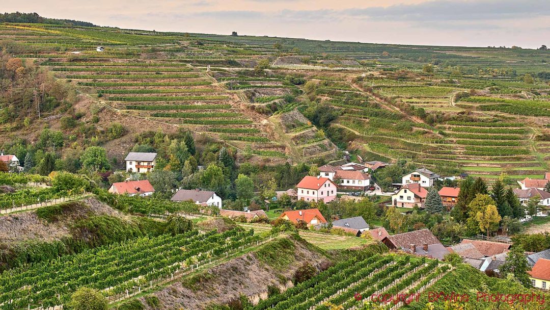 A small village in the Danube (Donau) Valley in Austria surrounded by vineyard hills on terrasses
