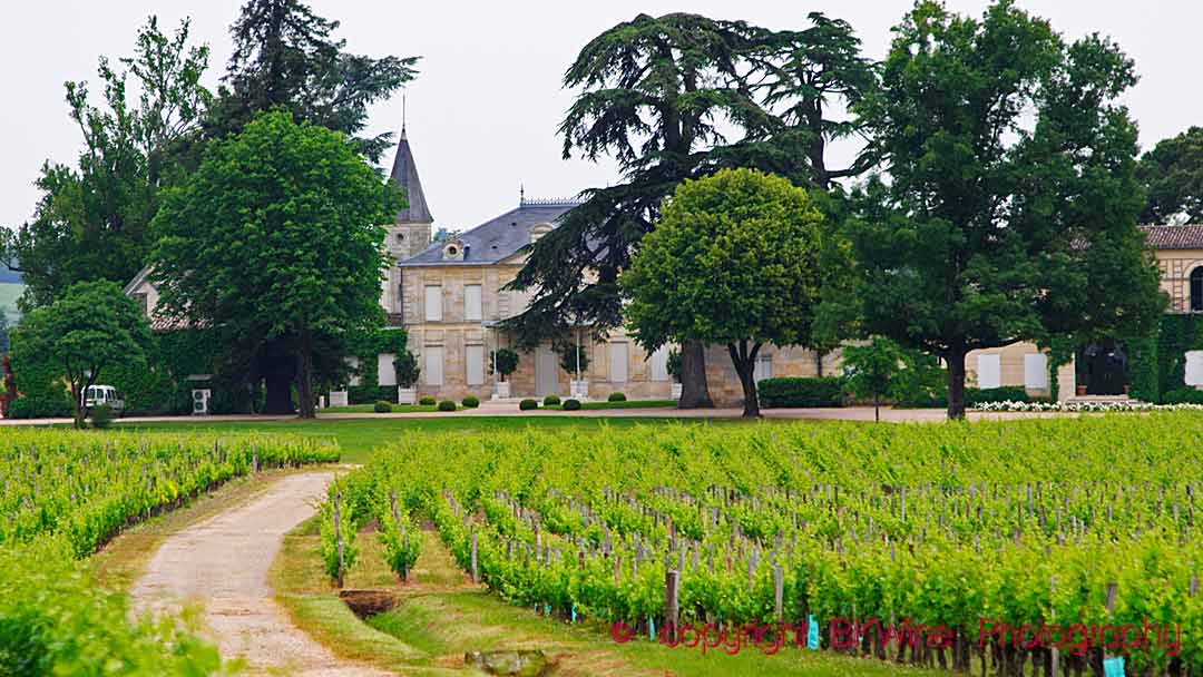 Bernard Arnault still wealthiest wine owner in France - Decanter