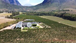 View over Holden Manz Wine Estate and the Franschhoek Mountains