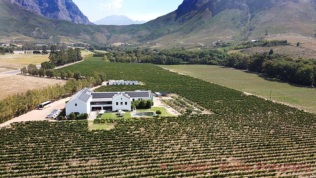 View over Holden Manz Wine Estate and the Franschhoek Mountains