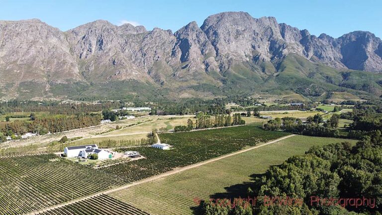 View over Holden Manz Wine Estate and the Franschhoek Mountains