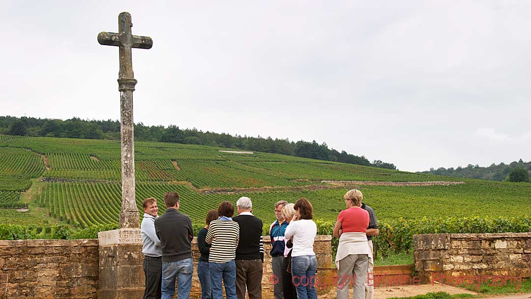 Visitors in front of La Romanee Conti Grand Cru, Vosne Romanee