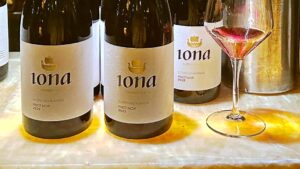 Iona Wines, Elgin Highlands Pinot Noir, South Africa