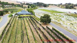 The Black Barn vineyards and winery (before the fire) in Hawke's Bay