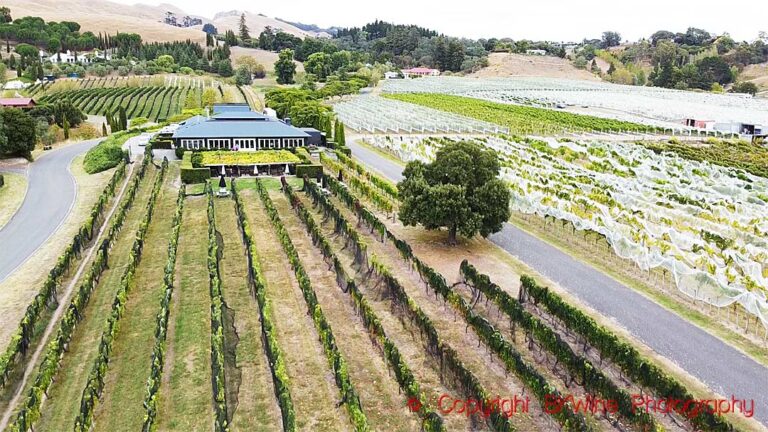 The Black Barn vineyards and winery (before the fire) in Hawke's Bay