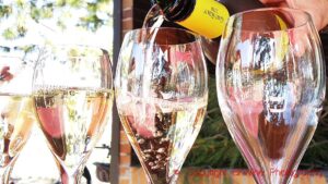 Pouring a glass of sparkling cava at the Giro Ribot winery in Catalonia