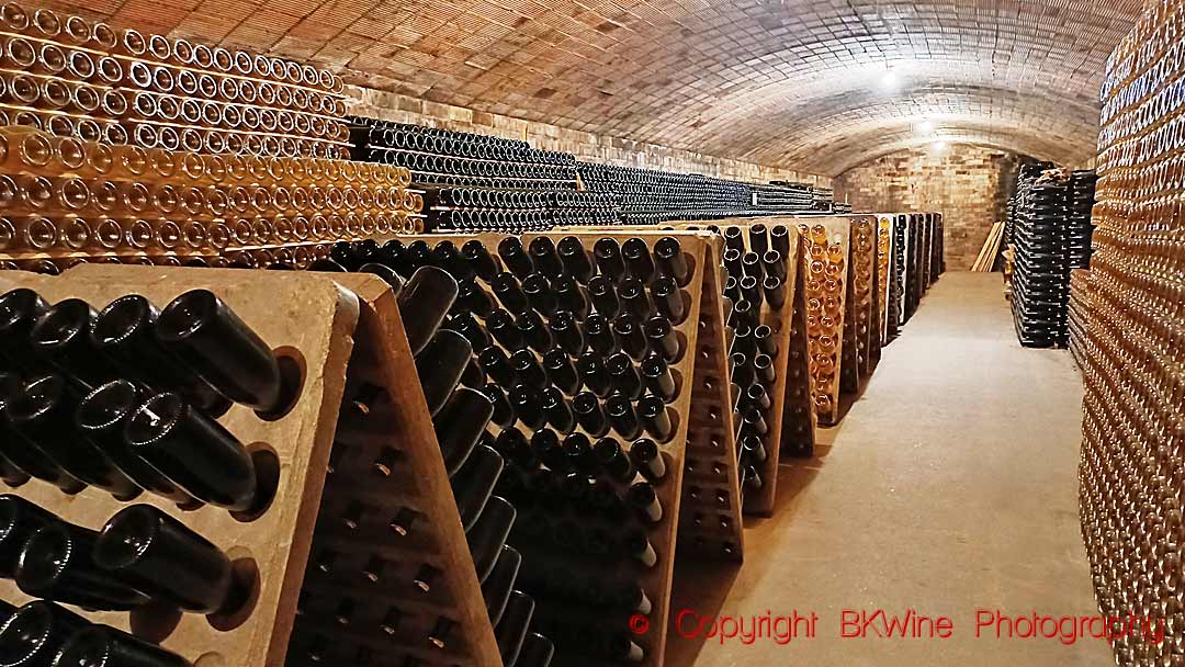 Bottles in the cellar of Cava Oriol Rossell, Catalonia