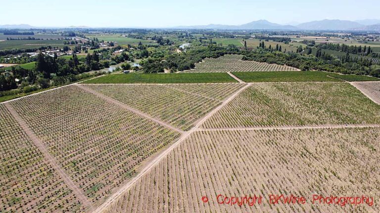 Vina Maquis vineyards in Colchagua, Chile